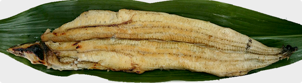 鰻の白焼き